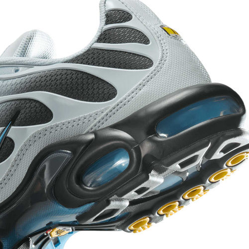 Buty męskie Nike Air Max Plus DM0032-015