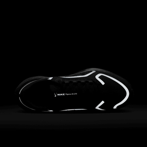 Buty damskie Nike Pegasus 41 GORE-TEX FQ1357-001