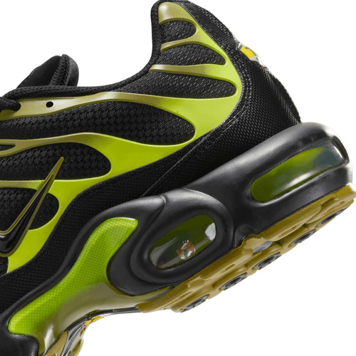 Buty męskie Nike Air Max Plus DM0032-010