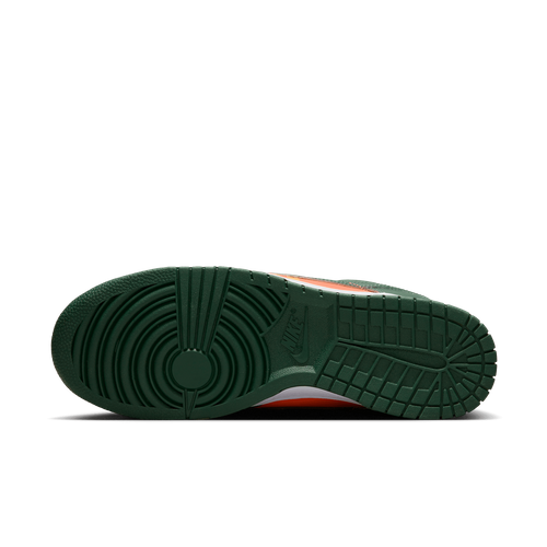 Buty męskie Nike Dunk Low Retro DD1391-300