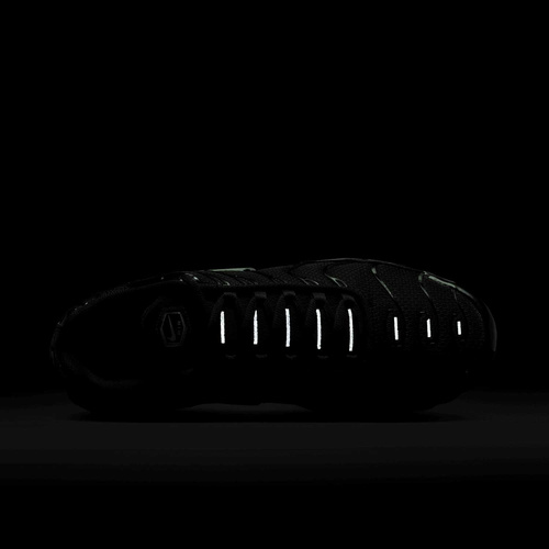 Buty męskie Nike Air Max Plus DM0032-024