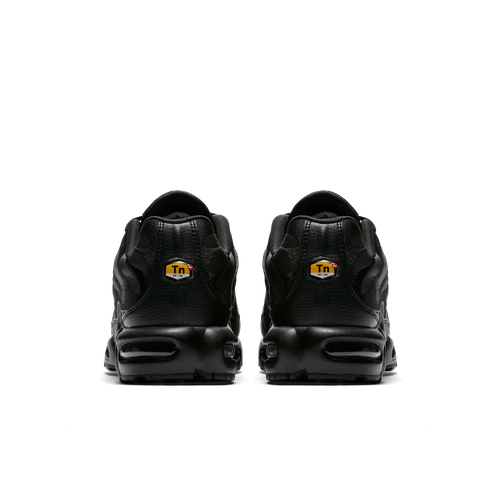 Buty męskie Nike Air Max Plus AJ2029-001