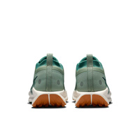 Buty męskie Nike Pegasus Trail 5 GORE-TEX FQ0908-300