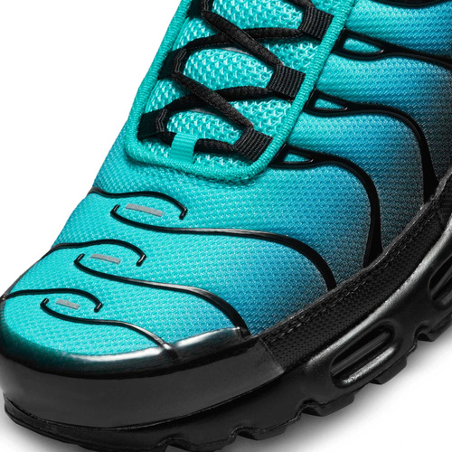 Buty męskie Nike Air Max Plus DM0032-401