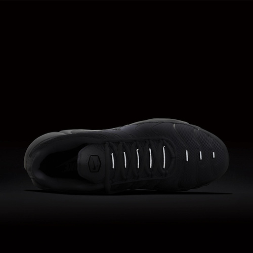 Buty sportowe męskie Nike Air Max Plus 604133-139