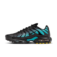 Buty męskie Nike Air Max Plus DM0032-016