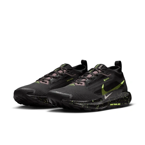 Buty męskie Nike Pegasus Trail 5 GORE-TEX FQ0908-014