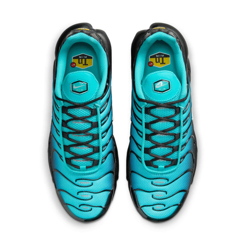 Buty męskie Nike Air Max Plus DM0032-401