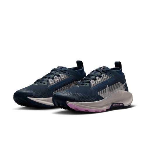 Buty damskie Nike Pegasus Trail 5 GORE-TEX FQ0912-400