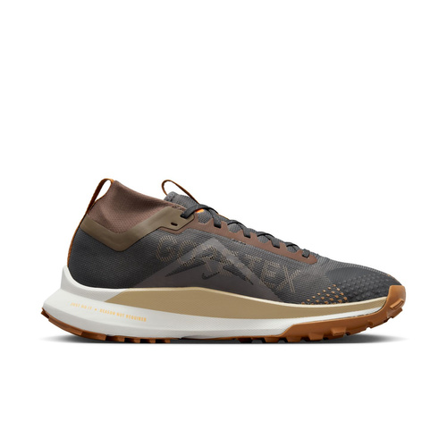 Buty męskie Nike Pegasus Trail 4 Gore-Tex FD5841-001