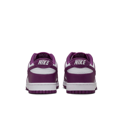 Buty męskie Nike Dunk Low Retro DV0833-107