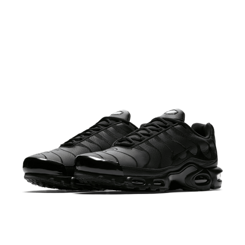 Buty męskie Nike Air Max Plus AJ2029-001