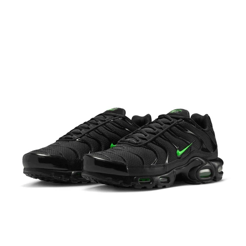Buty męskie Nike Air Max Plus DM0032-024