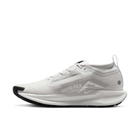 Buty męskie Nike Pegasus Trail 5 GORE-TEX FQ0908-010