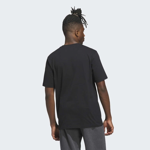 Koszulka męska adidas Varsity Crest JV8443