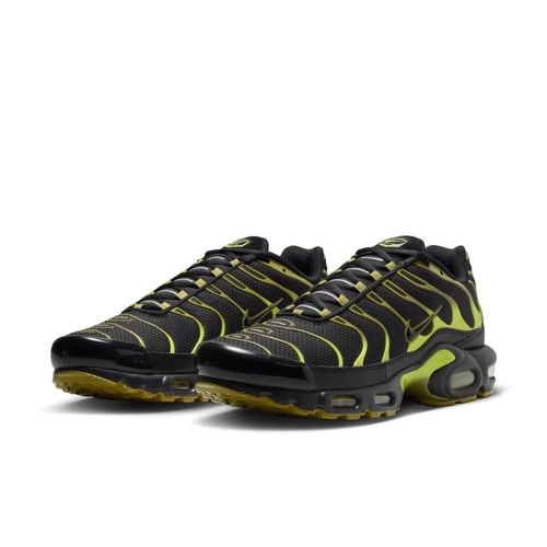 Buty męskie Nike Air Max Plus DM0032-010