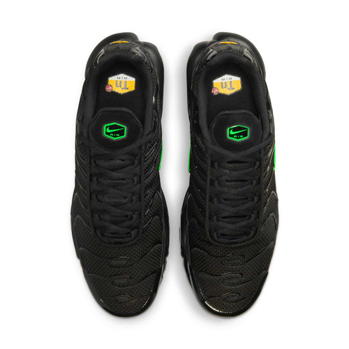 Buty męskie Nike Air Max Plus DM0032-024