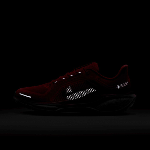 Buty męskie Nike Pegasus 41 GORE-TEX HM8872-600