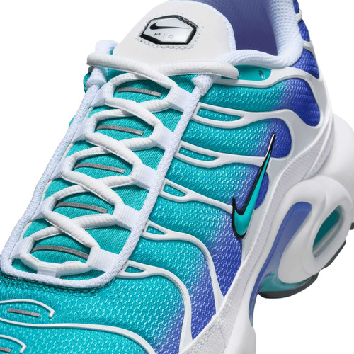 Buty męskie Nike Air Max Plus DM0032-102