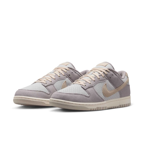 Buty męskie Nike Dunk Low Retro SE HJ4329-002