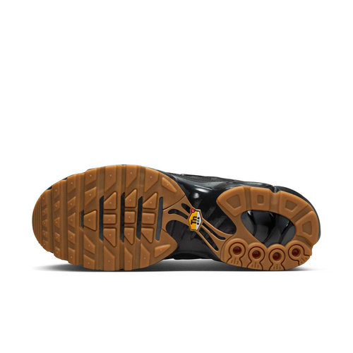 Buty męskie Nike Air Max Plus FV0385-001