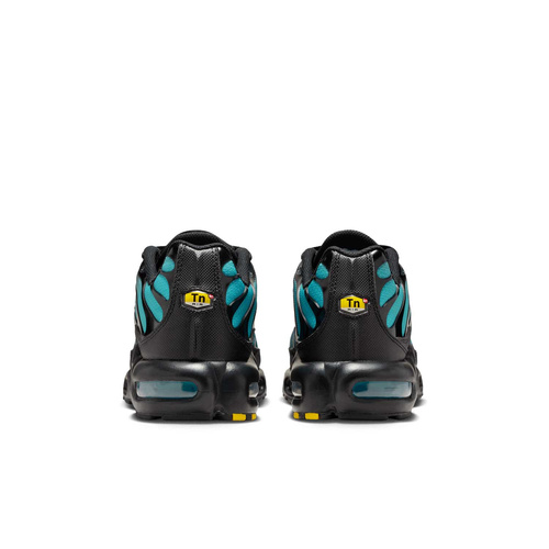 Buty męskie Nike Air Max Plus DM0032-016
