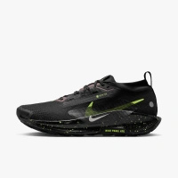 Buty męskie Nike Pegasus Trail 5 GORE-TEX FQ0908-014