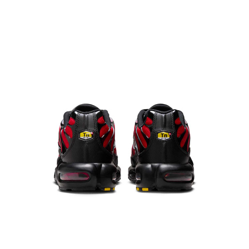 Buty męskie Nike Air Max Plus DM0032-017