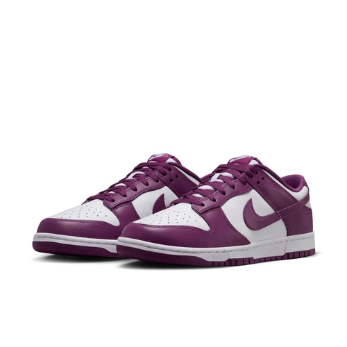 Buty męskie Nike Dunk Low Retro DV0833-107