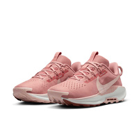 Buty damskie Nike Pegasus Trail 5 DV3865-600