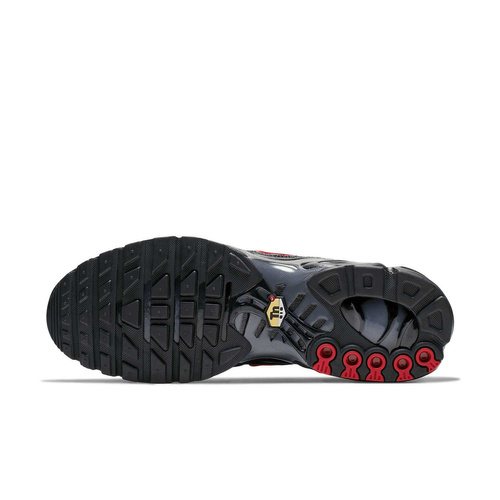 Buty męskie Nike Air Max Plus CI2299-001