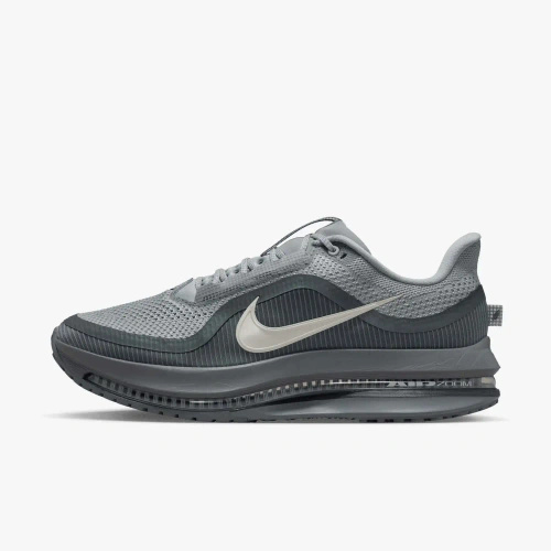Buty męskie Nike Pegasus Premium HQ2592-013