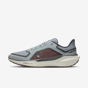 Buty męskie Nike Pegasus 41 FQ1356-003