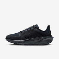Buty damskie Nike Pegasus 41 GORE-TEX FQ1357-001