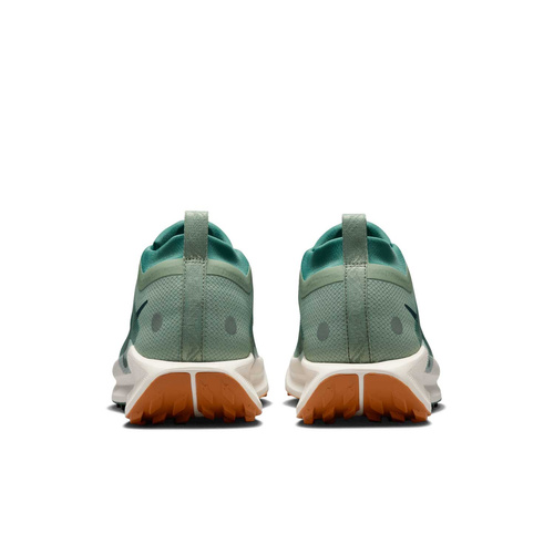 Buty męskie Nike Pegasus Trail 5 GORE-TEX FQ0908-300