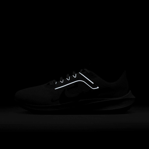 Buty męskie Nike Pegasus 40 FZ5055-101