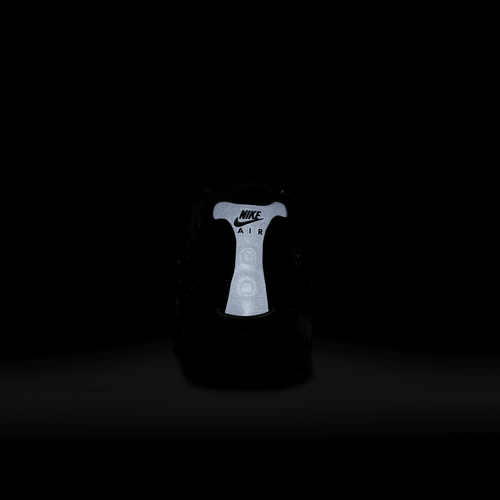 Buty męskie Nike Air Max 95 FJ4217-002