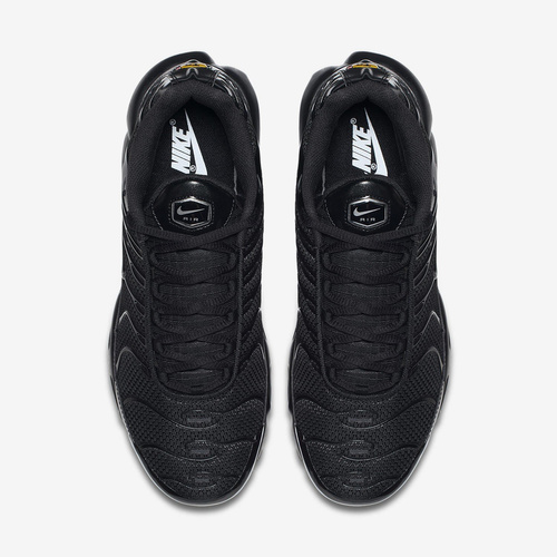 Buty męskie Nike Air Max Plus 604133-050