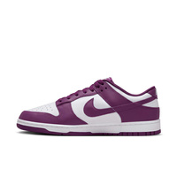Buty męskie Nike Dunk Low Retro DV0833-107