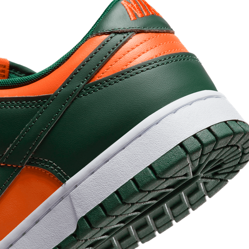 Buty męskie Nike Dunk Low Retro DD1391-300