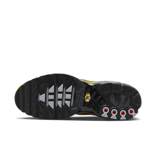 Buty męskie Nike Air Max Plus FB9722-700