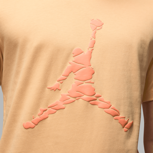 Koszulka męska Jordan Essentials DX9581-251