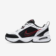 Buty sportowe męskie Nike Air Monarch IV 415445-101