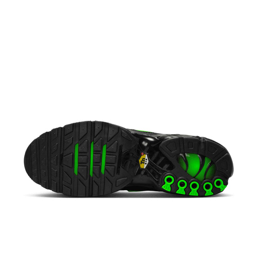 Buty męskie Nike Air Max Plus DM0032-024