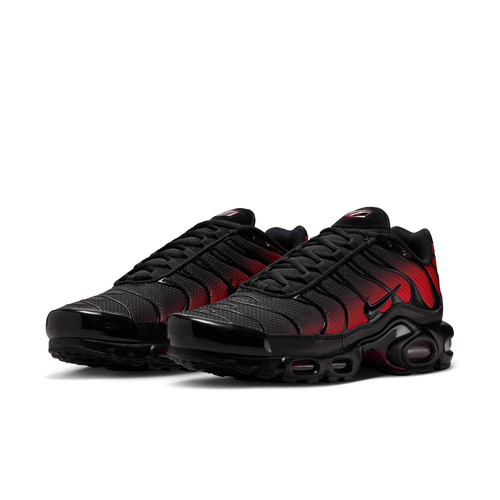 Buty męskie Nike Air Max Plus DM0032-021