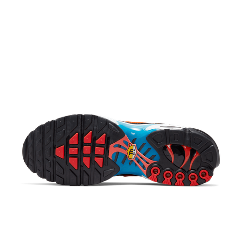 BUTY MĘSKIE NIKE AIR MAX PLUS DX2665-001