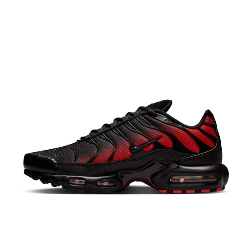 Buty męskie Nike Air Max Plus DM0032-021