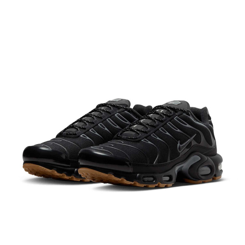 Buty męskie Nike Air Max Plus FV0385-001