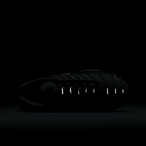 Buty męskie Nike Air Max Plus DM0032-401