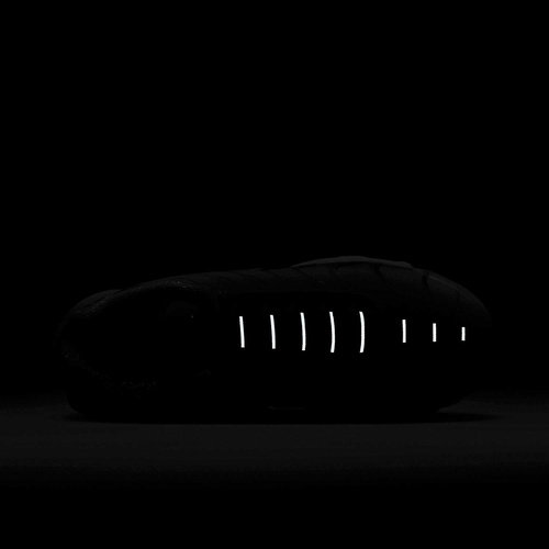 Buty damskie Nike Air Max Plus FJ4736-400